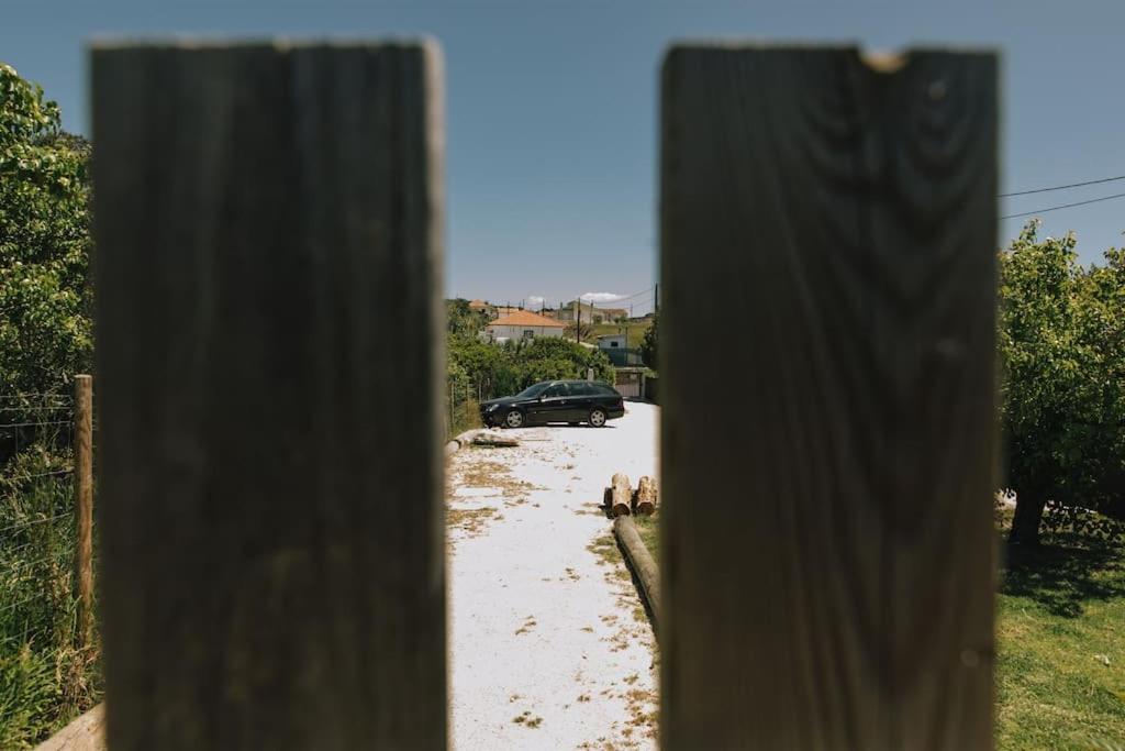 منزل الضيف Casais Brancos  في Casa Da Aldeia - Small House -Terra - Peniche - Baleal المظهر الخارجي الصورة